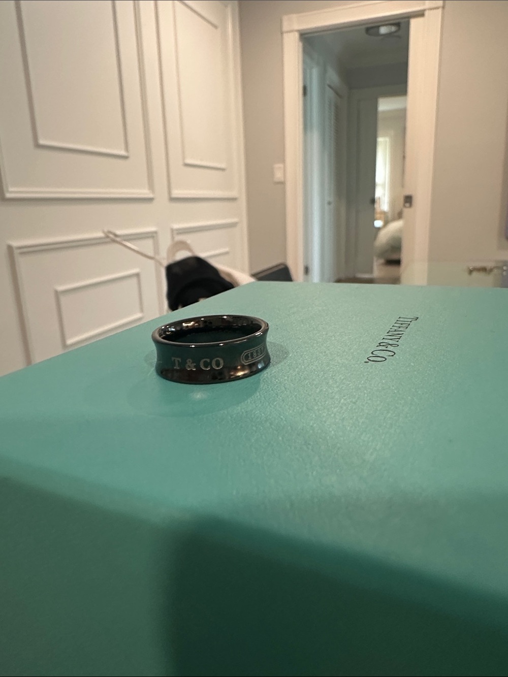 Tiffany & Co. Black/Onyx Ring
